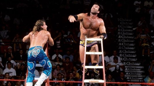 WWE SummerSlam 1995