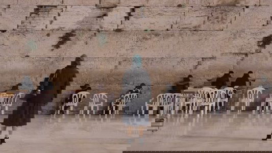 פינק ליידי