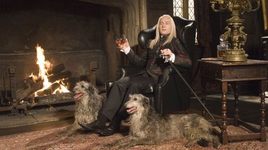 Harry Potter and the Order of the Phoenix