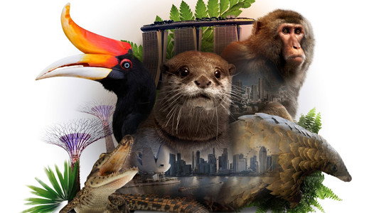 David Attenborough's Wild City