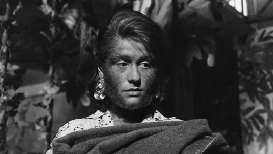 La donna scimmia