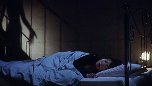 超いんらん　姉妹どんぶり