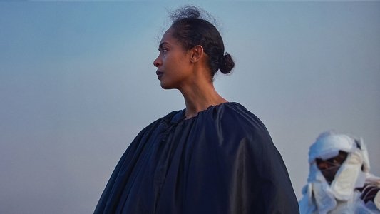 On Becoming a Guinea Fowl