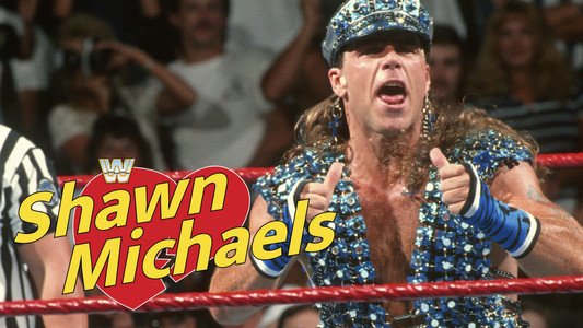 Shawn Michaels: Hits from the Heartbreak Kid