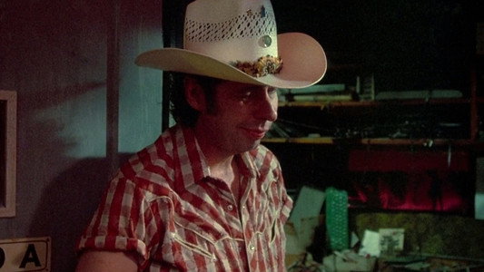 The Texas Chainsaw Massacre Part 2