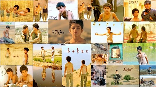 Bekas