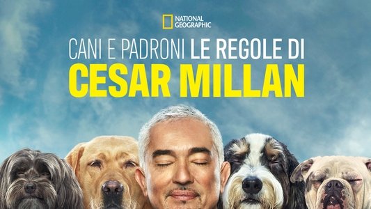 Cesar Millan: Better Human, Better Dog