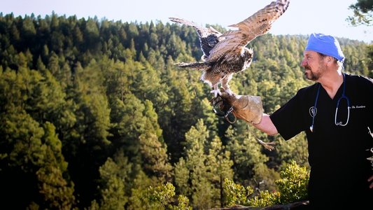 The Wild Life of Dr. Ole