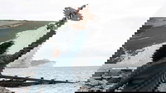 Summerland