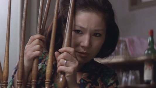 団鬼六　縄化粧