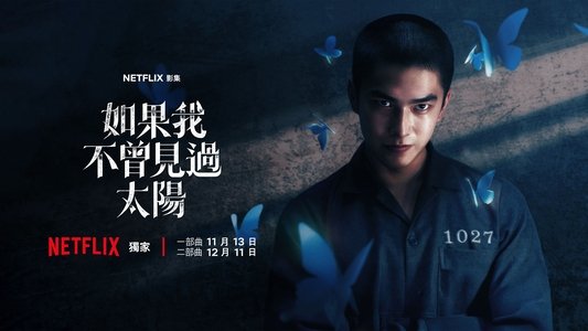 如果我不曾見過太陽