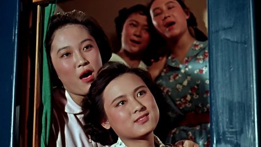 女篮五号