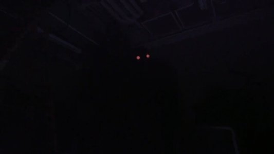 The Snatcher
