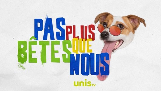 Pas plus bêtes que nous