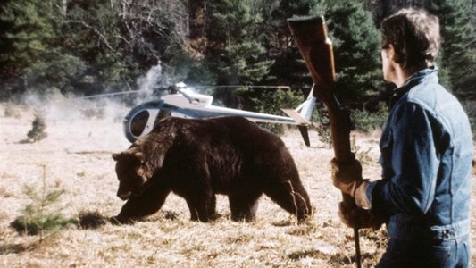 Grizzly