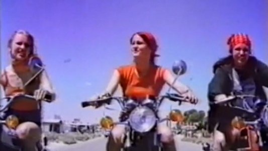 Cycle Vixens