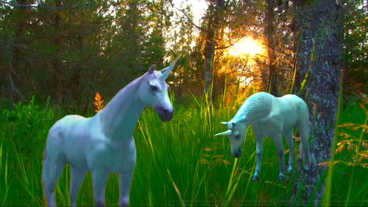 Stellar Quasar and the Scrolls of Dadelia