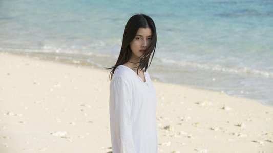 シェル・コレクター