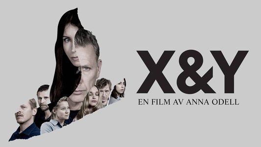 X&Y
