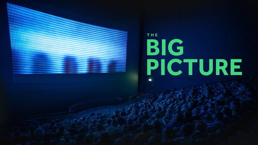 The Big Picture