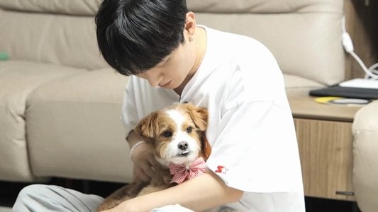 우리집 상전