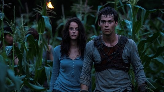 The Maze Runner