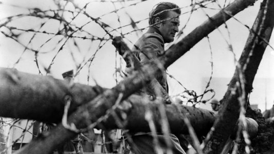 Paths of Glory