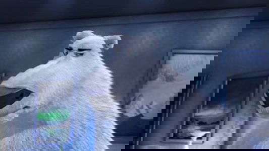 Norm of the North