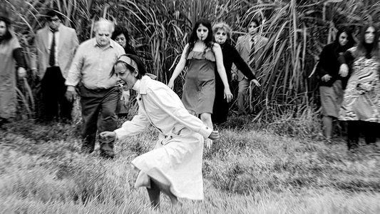 Zombies en el cañaveral: el documental