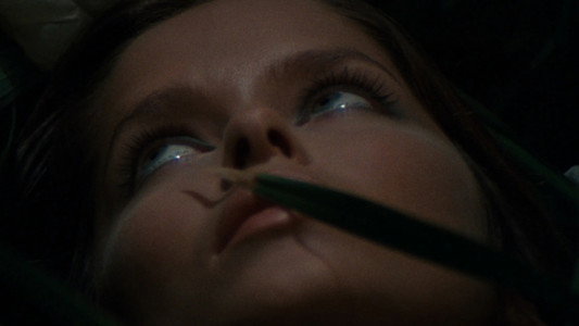 La corta notte delle bambole di vetro