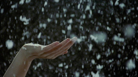 Edward Scissorhands