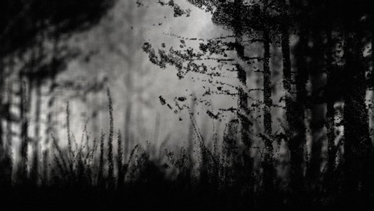 NS-Geheimkommando 1005 – Wie die Nazis ihre Gräuel vertuschten