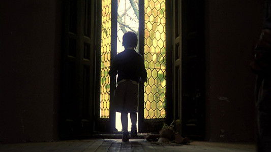 El espíritu de la colmena