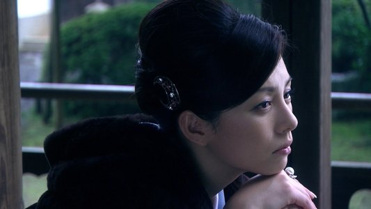 黒革の手帖