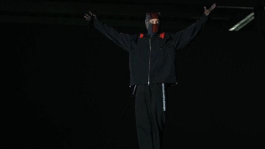 Twenty One Pilots: More Than We Ever Imagined