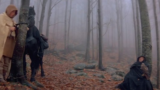 Ladyhawke