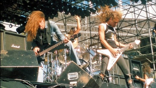 Metallica: Day on the Green