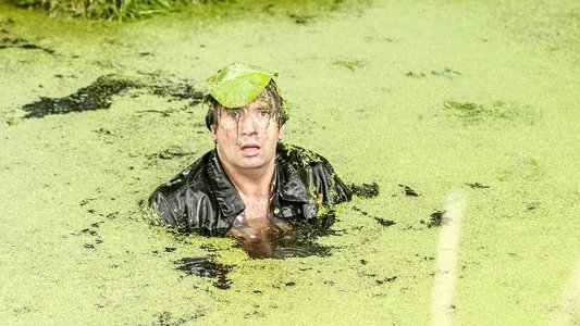 Meester Kikker