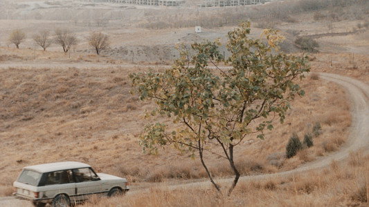 طعم گيلاس