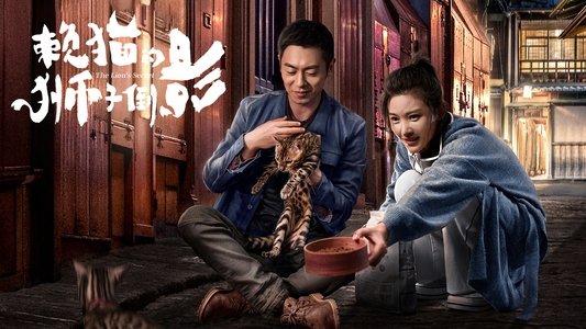 赖猫的狮子倒影
