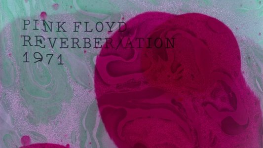 Pink Floyd - The Early Years Vol 5: 1971: Reverber/ation