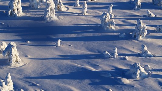 Wild Lapland