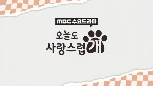 오늘도 사랑스럽개