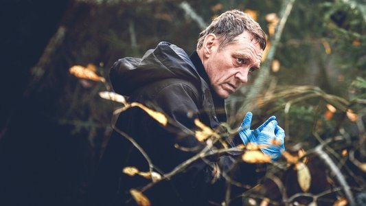 Sorjonen: Muraalimurhat