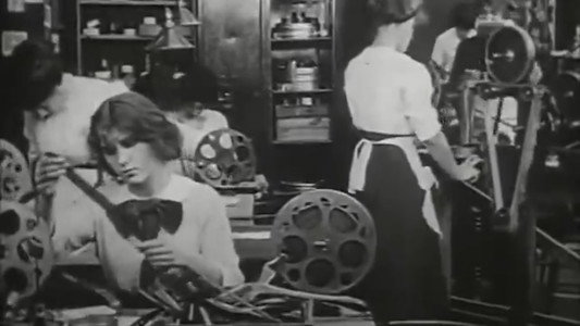 The Evidence of the Film