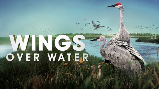 Wings Over Water