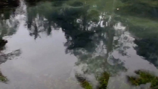 鏡心
