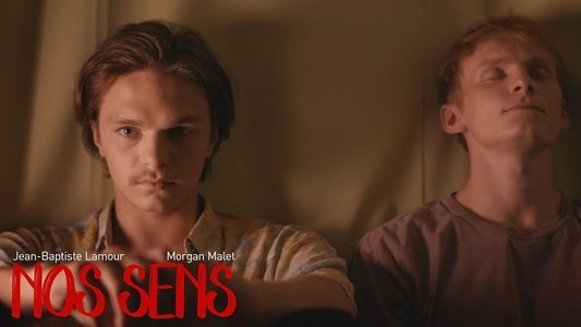 Nos sens