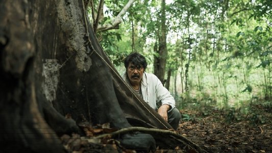 റോഷാക്ക്