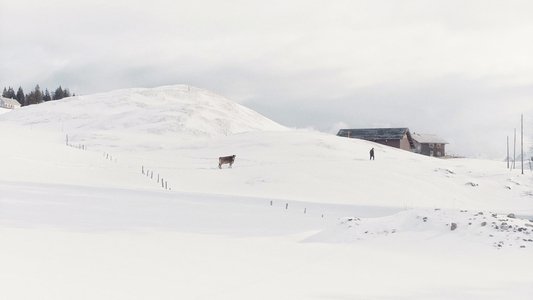 Drii Winter